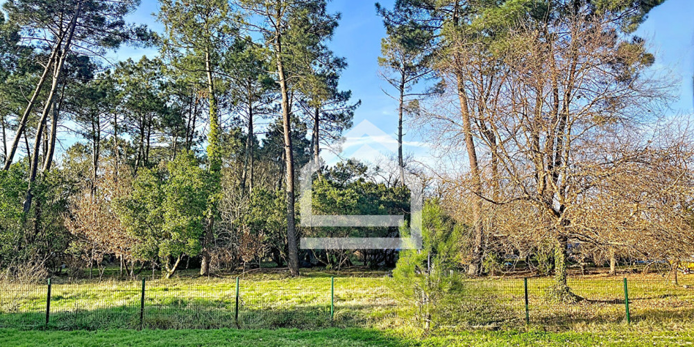maison à LEGE CAP FERRET (33950)